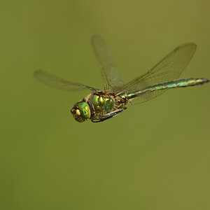 D8A 6849nx