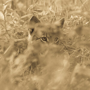 [No title]