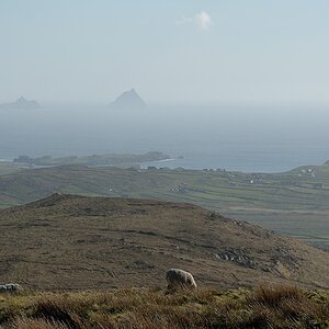 DSC 1620a