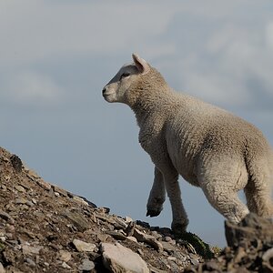 DSC 1720a