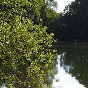 Weiher 8