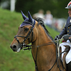 20090524 131820 Pferd Internatio 01