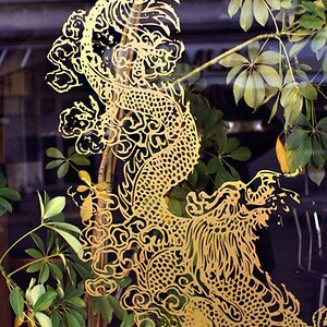 dragon