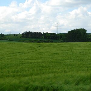 DSC 0050