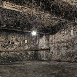 HDR SCUM MILDEW 2 BY DENNIS S