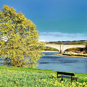 Baum am Dee Aberdeen