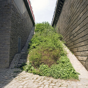 Brücke