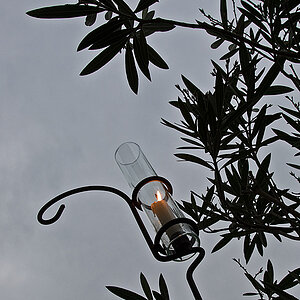 kerze und oleander