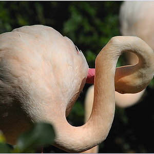 D30 0445f