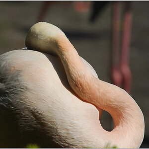 D30 0444f