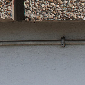 DSC 2896 02