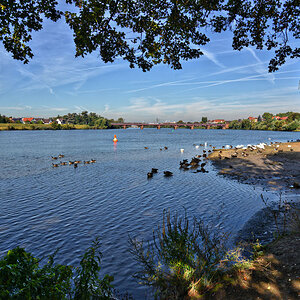 Ladenburg am neckar