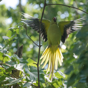 12225 01x