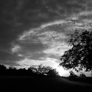 comp D800 20141008 10216 sw