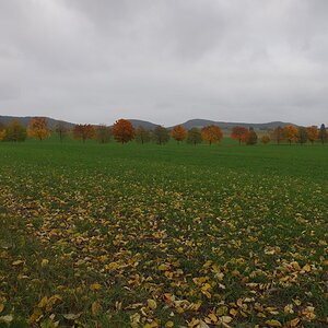 610 013966 Herbst 1020