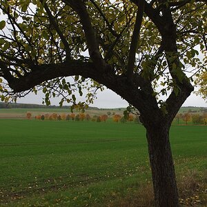610 013991 Herbst 1020