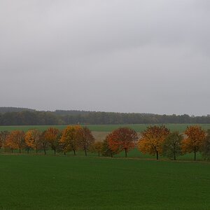 610 014000 Herbst 1020