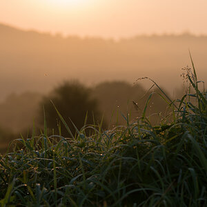 [No title]
