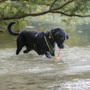 SchöhseeSept2016MAX 9661 final