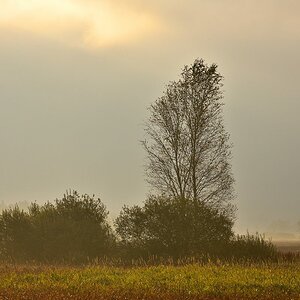 2016 16255