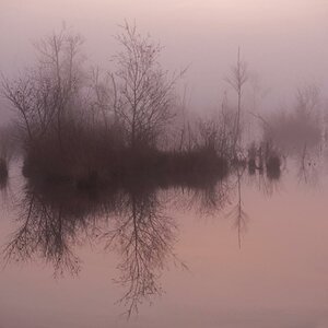 Herbstmorgen