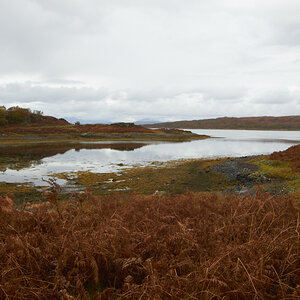 Autumn near Arisig I