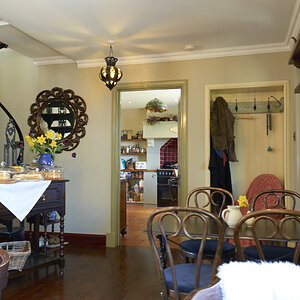 Inside the Teashop