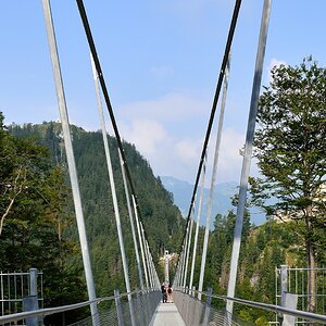 DSC 4340 C