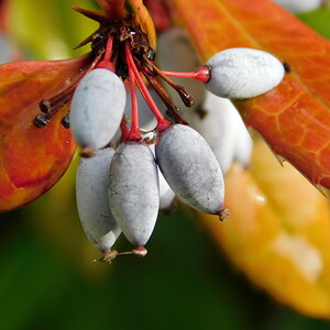 DSCN0166a