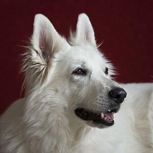 Athena 1
