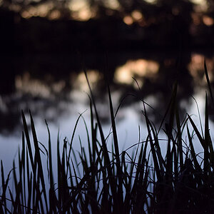 Weiher 4