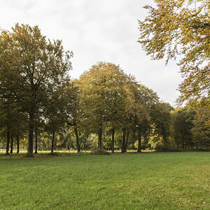 DeWitt See im Herbst