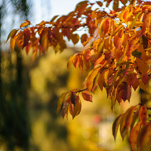 NIKON D700   0.0 mm f 0.0   161101 153138