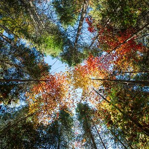 Canada Indian Summer