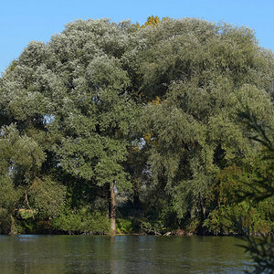Weiher 5