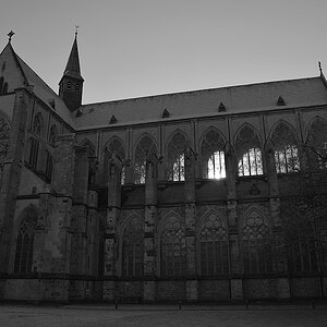 DSC 7279sw