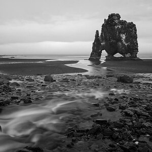 Hvitserkur arch - ein Fossil an der Tränke
