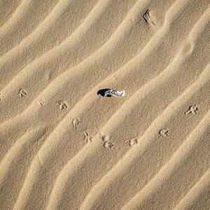Strandfund Wangerooge