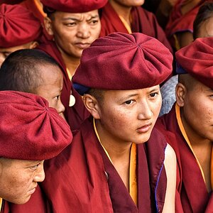 Bild 38
