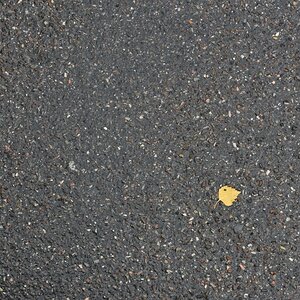 Blattgold 1