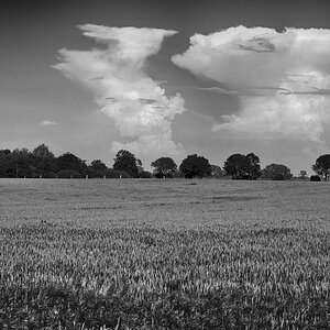 insel poel 2016 001bw