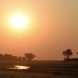 Sonnenuntergang am Katuma River
Katavi Nationalpark

s790 Katavi Sonnenuntergang 0075