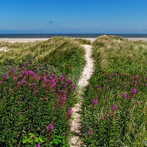 Weg Wangerooge