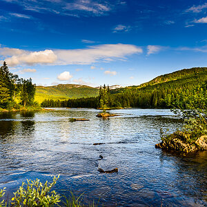 Natur pur