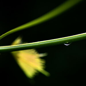 Nach dem Regen