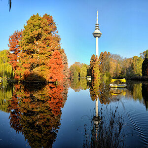 luisenpark mannheim