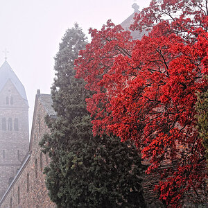 D72 1163 DxO StHildegard im Nebel 1000px