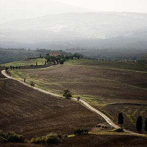 Gladiators path