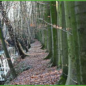 NF F 04 Wolbeck Tiergarten
[IMG]http://www.nikon-fotografie.de/vbulletin/picture.php?albumid=31190&pictureid=519907[/IMG]