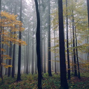 Der Taunus im Herbst